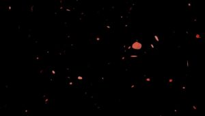 CC Particle Worldを使って無数の花びらを降らせるアニメーションの作り方