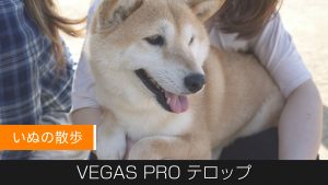 【Vegas Pro】テロップの帯 座布団の作り方